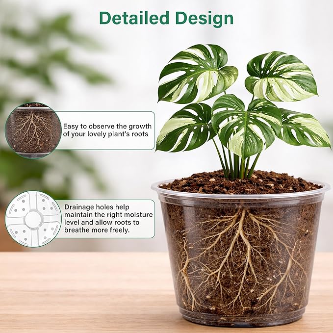 16 Pack 10/8/6/5 Inch Reinforced Large Clear Nursery Pots - Image 3
