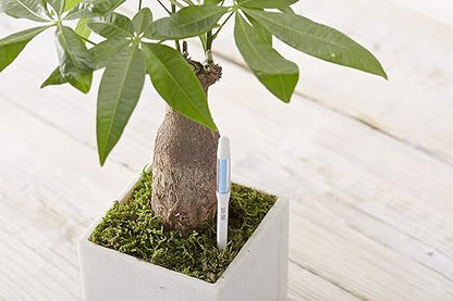 Sustee Aquameter, Plant Soil Moisture Sensor - Image 5