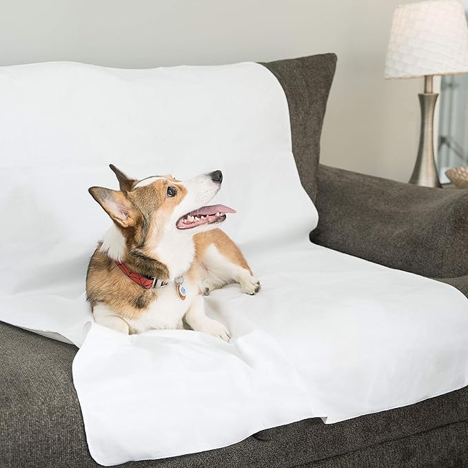 DMI Bed Pad Waterproof Sheet to be Used as a Mattress Protector, Pee Pad - Image 6