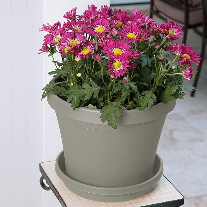 Bloem Terra Resin Saucer Tray: 4.75" Bottom Width - Image 2