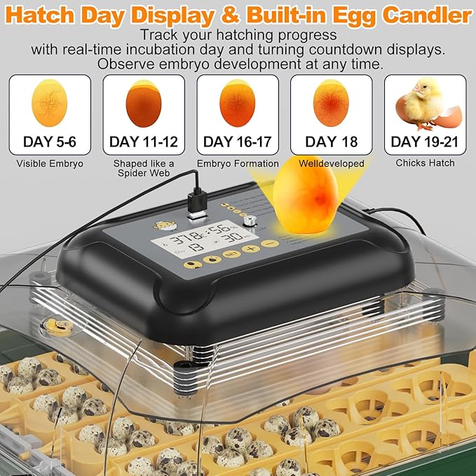 63 Egg Incubator for Hatching Eggs - Image 3