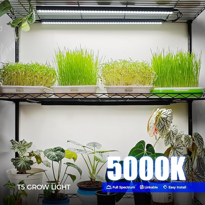 Barrina T5 Grow Lights for Indoor Plants, 2FT 5000K Full Spectrum LED Grow Light - Image 3