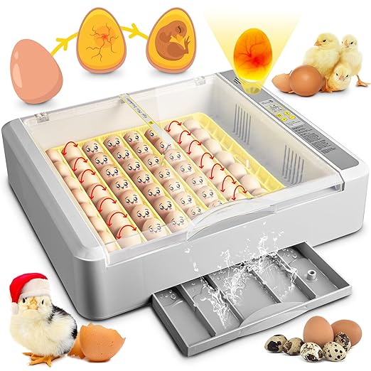 36-60 Egg Incubator with Automatic Egg Turning and Humidity Control, Chicken by Innvello