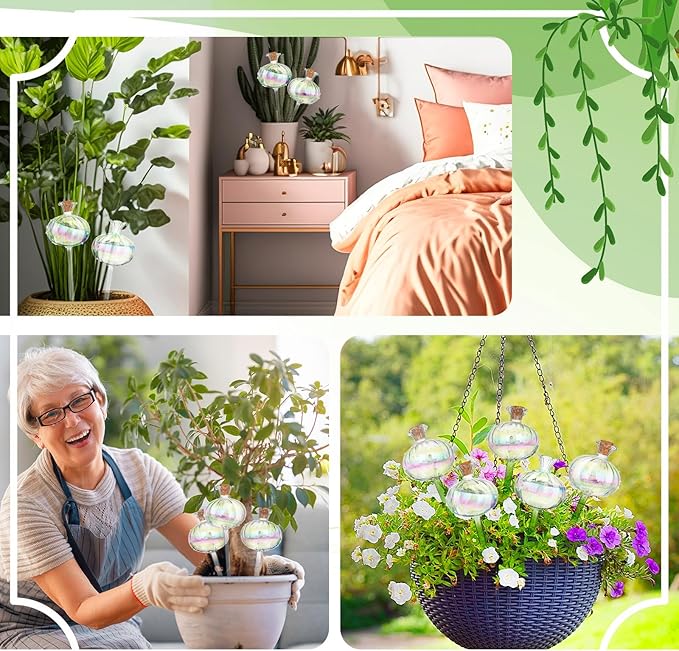 Yungyan 6 Pcs Self Watering Plant Globes Glass Cactus Insert Watering Devices - Image 5