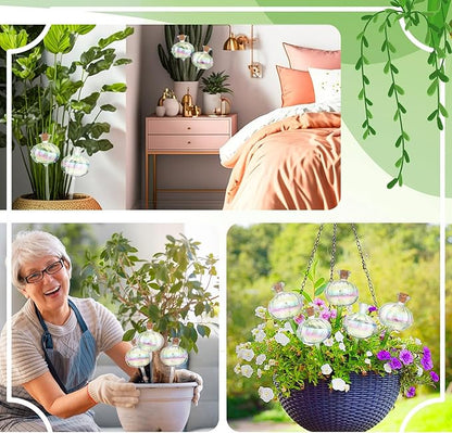 Yungyan 6 Pcs Self Watering Plant Globes Glass Cactus Insert Watering Devices - Image 5