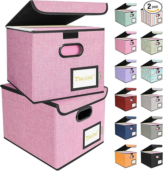 BALEINE File Organizer Box by BALEINE