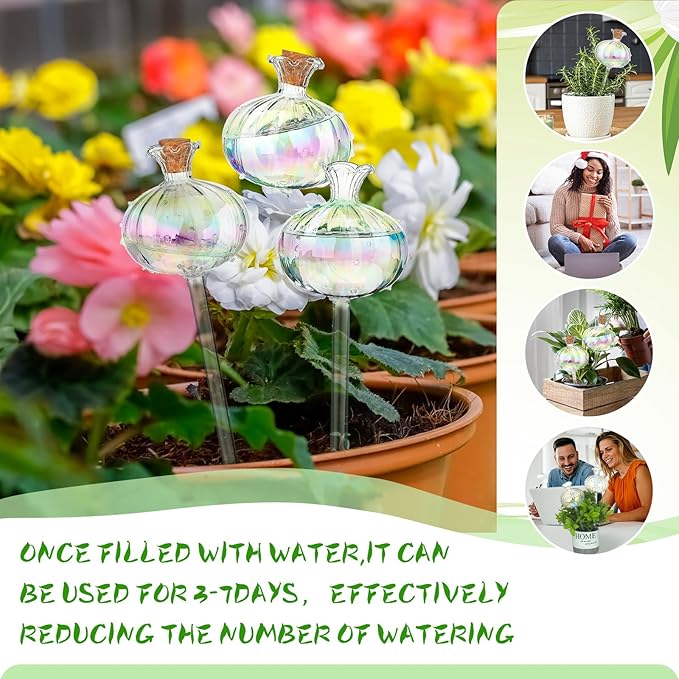 Yungyan 6 Pcs Self Watering Plant Globes Glass Cactus Insert Watering Devices - Image 2