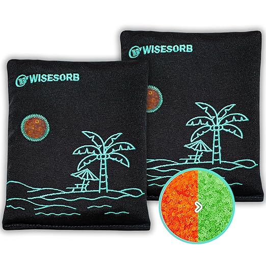 500g x 2pcs Rechargeable Desiccant Packs, Reusable Car Dehumidifier, Microwave by Wisesorb