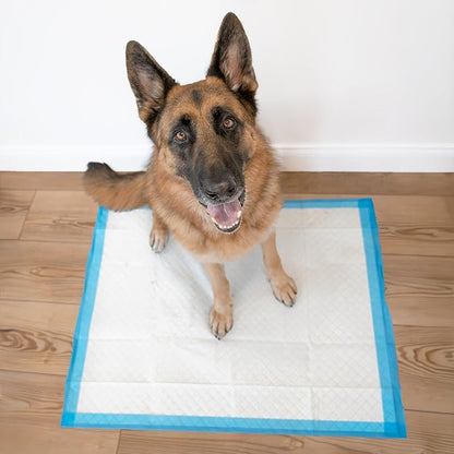 Four Paws Wee-Wee Superior Performance Unscented Extra-Large Pee Pads - Image 6