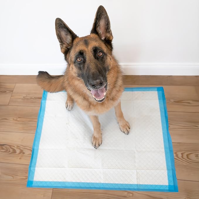 Four Paws Wee-Wee Superior Performance Unscented Extra-Large Pee Pads - Image 6