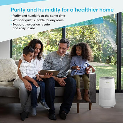 Air Purifier and Humidifier Combo All in One - Image 9