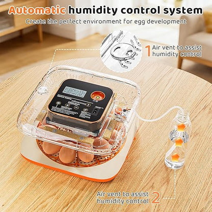 Incubators for Hatching Eggs 12 Egg Digital Egg Incubator Precision Auto Temp - Image 5