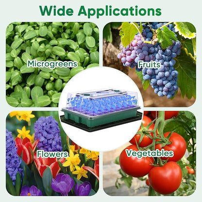 BlumWay 4-in-1 Seed Starter Tray - Image 6
