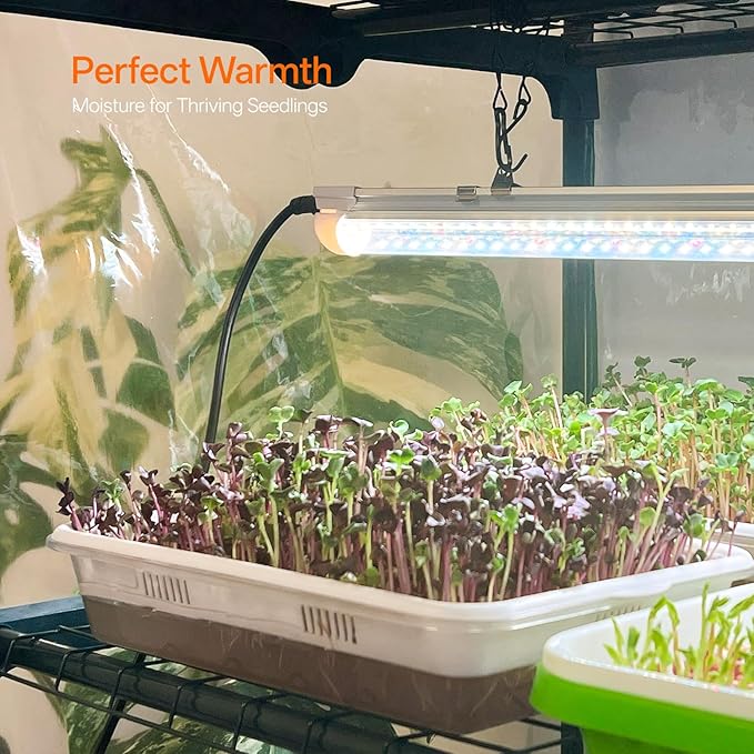 Bstrip Indoor Greenhouse with Grow Light, 5-Tier Large Green House, PVC Tent - Image 4