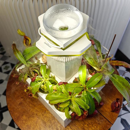 LeGrow Nepenthes Terrarium System – Pitcher Plant Planter - Image 3