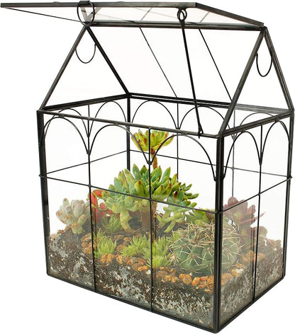 ELEGANTLIFE Glass Geometric Plant Terrarium, Succulent & Air Planter by ELEGANTLIFE