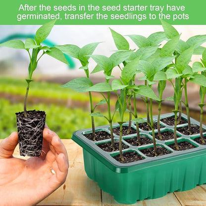 Lunies 6 Packs Seed Starter Tray - Image 6