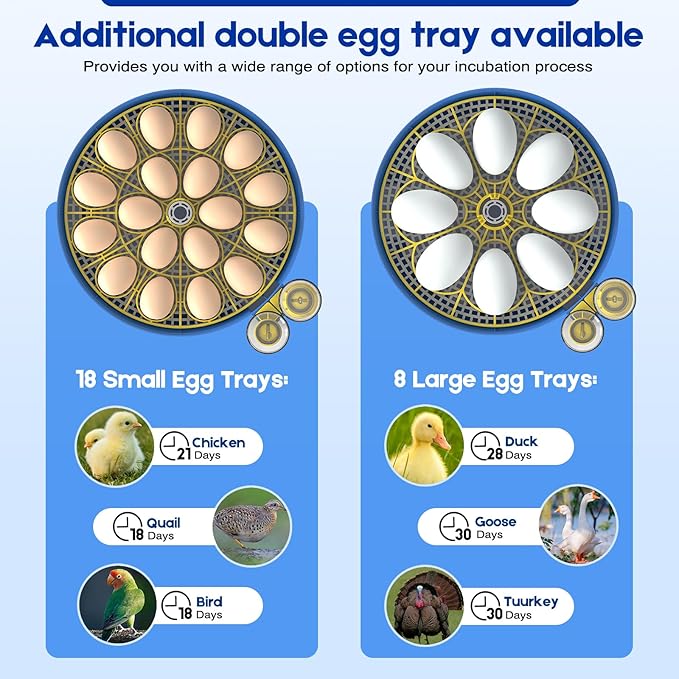 Egg Incubator for Hatching Chicks, 18 Eggs Automatic Egg Turner Multifunctional - Image 6