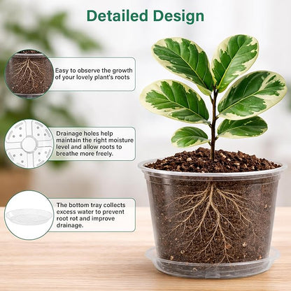 8 Packs 8 Inch Reinforced Large Clear Nursery Pots - Image 3