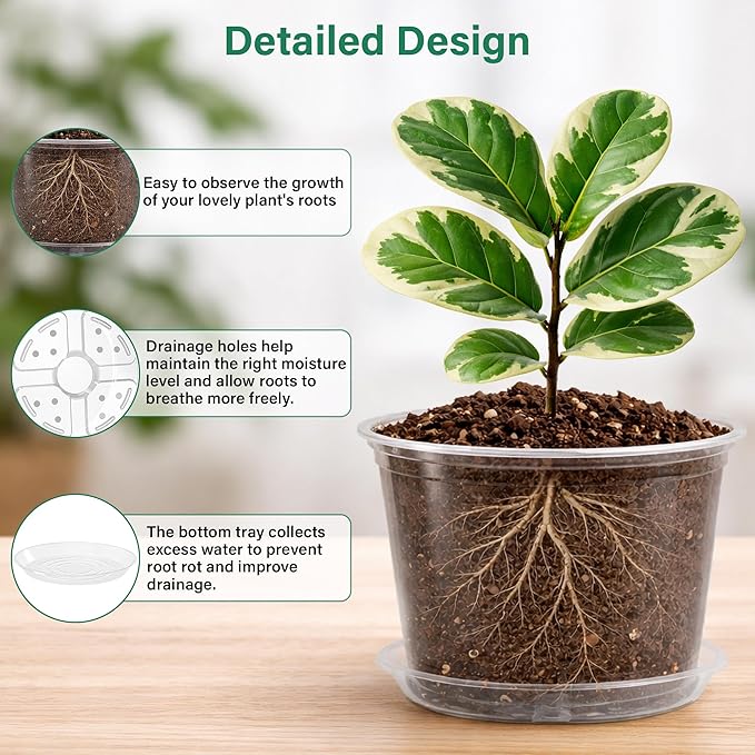 12 Pack 10/8/6/5 Inch Reinforced Large Clear Nursery Pots - Image 3