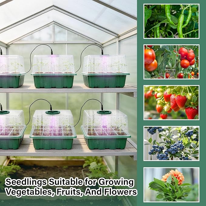 6 Pack Seed Starter Kit with Grow Light 72 Cells Plant Starter Trays with 3.9 - Image 8