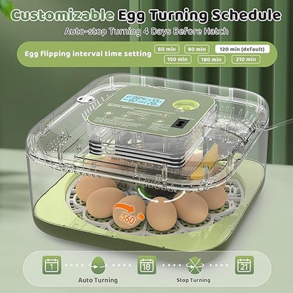 Incubators for Hatching Eggs 12 Egg Digital Egg Incubator Precision Auto Temp - Image 5