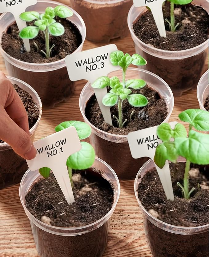 homenote Clear Nursery Pots for Plants, 6.7 Inch Plant Pot for Planting Plastic - Image 5
