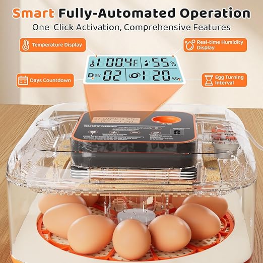 Incubators for Hatching Eggs 12 Egg Digital Egg Incubator Precision Auto Temp - Image 3