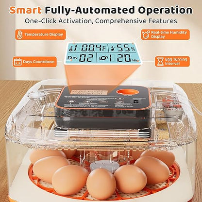 Incubators for Hatching Eggs 12 Egg Digital Egg Incubator Precision Auto Temp - Image 3