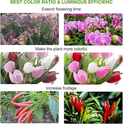 LED Grow Light Full Spectrum, CFGROW Waterproof 300W COB LED Grow Light - Image 6