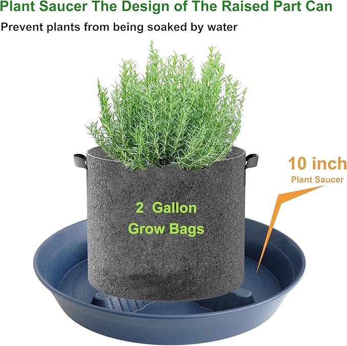 4 Pack Plant Saucer 10 inch, 8 12 14 17 inch, Plant Stand Plastic Plant Saucers - Image 4
