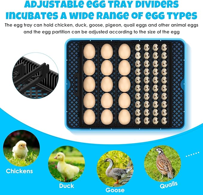 25 Egg Incubator Digital Poultry Hatcher Machine - Image 6