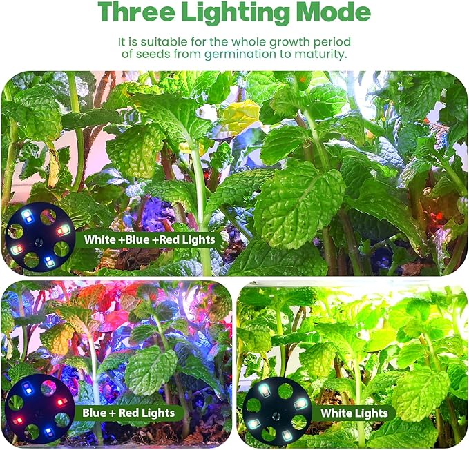 Seed Starter Trays with Grow Lights, 72 Cells Seed Starter Kit with Lights - Image 2