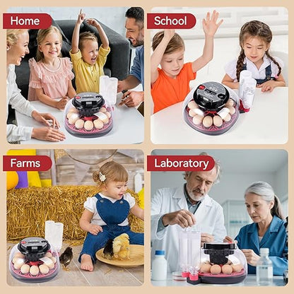 12 Egg Incubators for Hatching Eggs, Chicken Egg Incubator - Image 8
