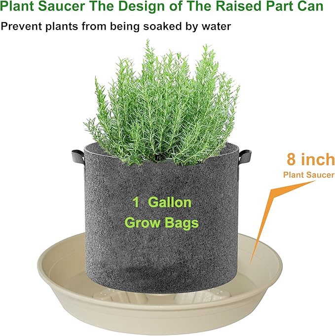 4 Pack Plant Saucer 8 inch, 10 12 14 17 inch, Plant Stand Plastic Plant Saucers - Image 4