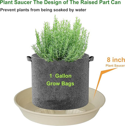 4 Pack Plant Saucer 8 inch, 10 12 14 17 inch, Plant Stand Plastic Plant Saucers - Image 4