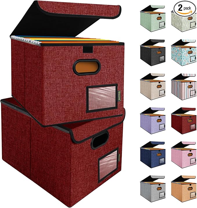 BALEINE Modern Red File Storage Box by BALEINE