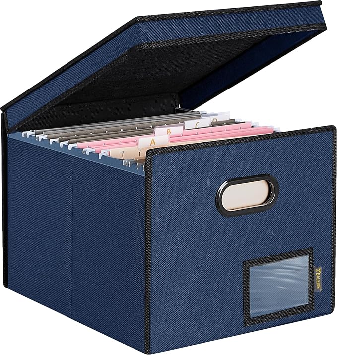 BALEINE File Organizer Box by BALEINE