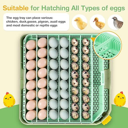 Sailnovo 48 Egg Incubator for Hatching Eggs - Image 7