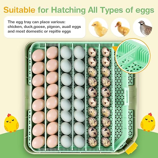Sailnovo 48 Egg Incubator for Hatching Eggs - Image 4