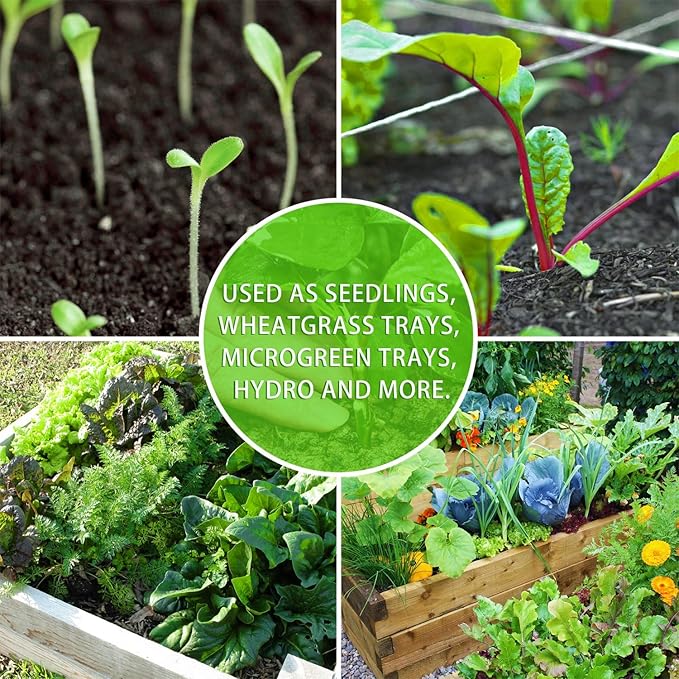 YoleShy 10 Pack Seed Starter Tray Reusable Plastic Plant Seedling Starter Trays - Image 6