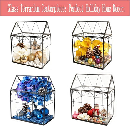 ELEGANTLIFE Glass Geometric Plant Terrarium, Succulent & Air Planter - Image 4