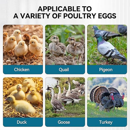 Incubators for Hatching Eggs, 136 Eggs Incubator Digital Poultry Hatcher - Image 8