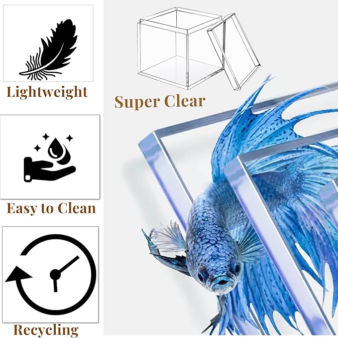 KissYou Acrylic Box with Lid 2 Pieces Clear Square Cube Jewelry Storage Box - Image 3