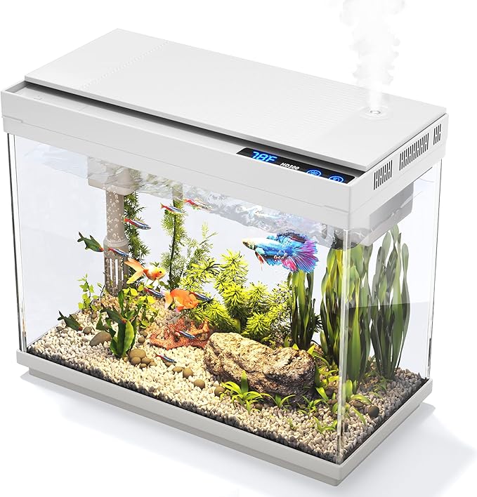 Fish Tank 2.4 Gallon Aquarium Kit by VEHIPA