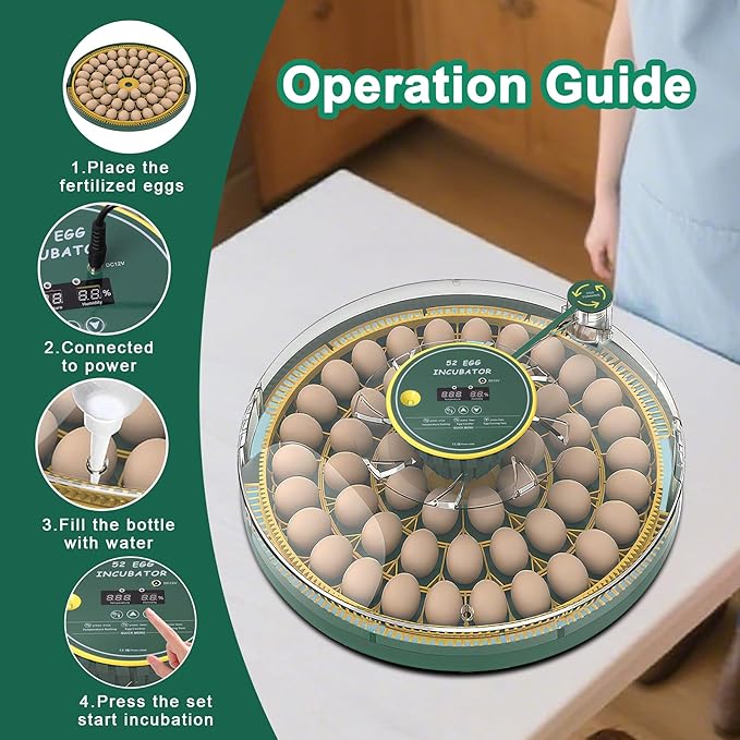 52 Egg Incubator with Automatic Egg Turning and Humidity Control, 360 Degree - Image 6