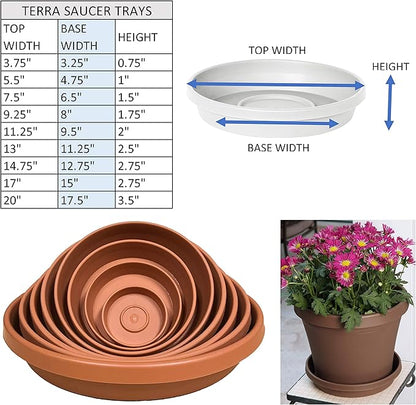 Bloem Terra Resin Saucer Tray: 9.25" Bottom Width - Image 3
