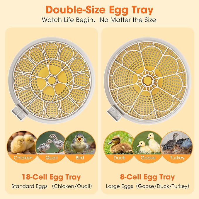 18 Egg Incubator with Automatic Egg Turning & Humidity Control, Built-in Egg - Image 7