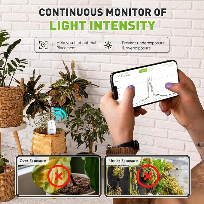 RainPoint 3-in-1 APP Remote Monitoring WiFi Soil Meter - Image 5