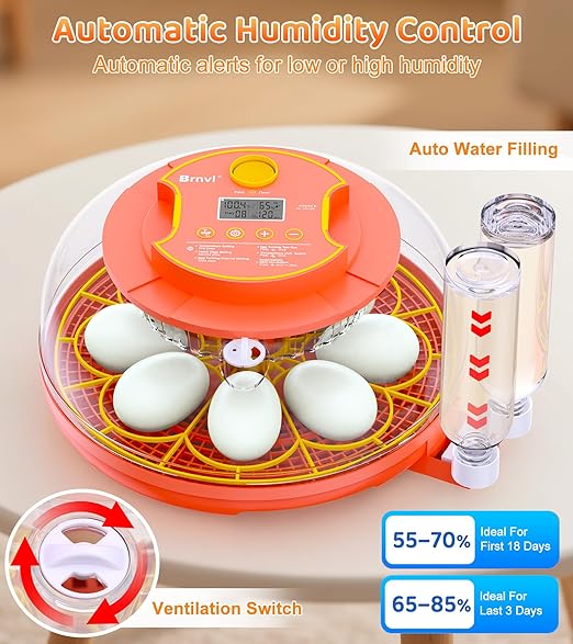 18 Egg Incubator with Automatic Egg Turning, Digital Temperature Humidity - Image 3